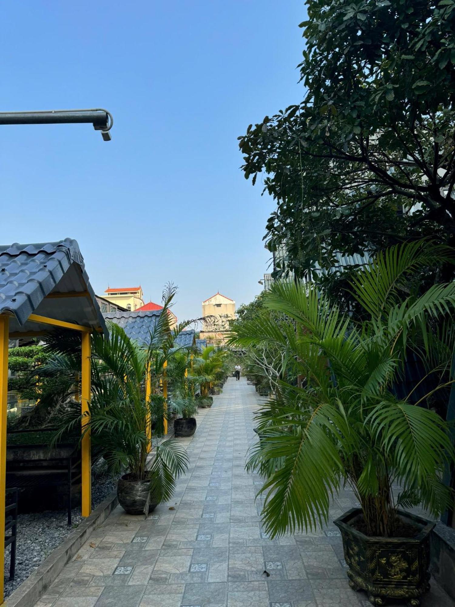 Sunny Bungalow & Hotel Ninh Binh Eksteriør billede